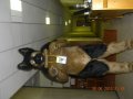 cesfur 429.JPG